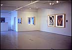 Installation of the exhibition Beast///Beauty at Mercer Union, Toronto 1985 - this image shows the photo panels