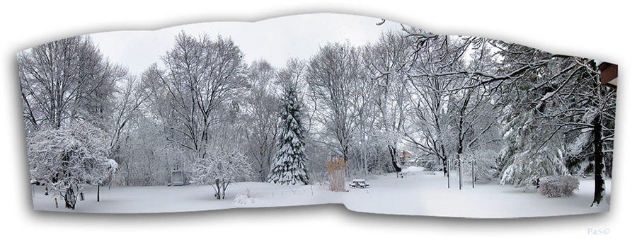 Our gardens after a winter strom - click to enlarge image