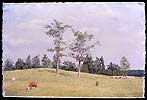 "Pastoral"  1982
