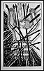 Detail from the triptych "Depravation Bondage" 1980