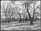 study for "Near Quigley's Mill / Gibbons Park"  1982
