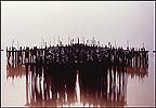 Detail of The Living Meridian 1  - 1988 (looking across it)