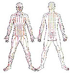 Drawing of the Meridians