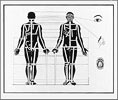 Detail of Study for Labyrinth Architecture or Body Maze 1990