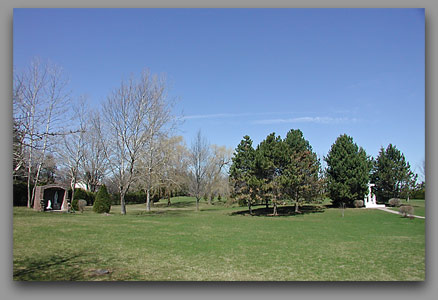 Willows at The precious Blood Monastery - click to enlarge