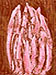See the works "Tongues of Fire" 