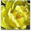 Please click thumb nail to enlarge.