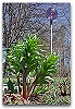 Please click thumb nail to enlarge.