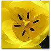 Please click thumb nail to enlarge.