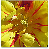 Please click thumb nail to enlarge.