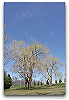 Please click thumb nail to enlarge.