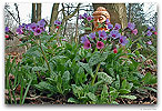 Please click thumb nail to enlarge.