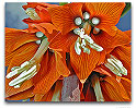 Please click thumb nail to enlarge.