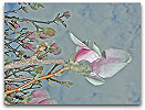 Please click thumb nail to enlarge.