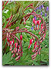 Please click thumb nail to enlarge.