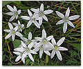 Please click thumb nail to enlarge.