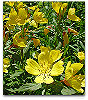 Please click thumb nail to enlarge.
