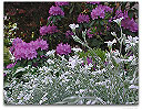 Please click thumb nail to enlarge.