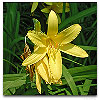 Please click thumb nail to enlarge.