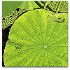 Please click thumb nail to enlarge.