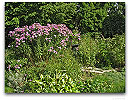 Please click thumb nail to enlarge.