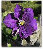 Please click thumb nail to enlarge.