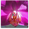 Please click thumb nail to enlarge.