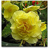Please click thumb nail to enlarge.