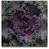 Please click thumb nail to enlarge.