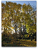 Please click thumb nail to enlarge.