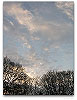 Please click thumb nail to enlarge.