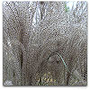 Please click thumb nail to enlarge.