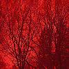 Please click thumb nail to enlarge.
