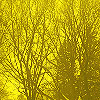 Please click thumb nail to enlarge.