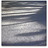 Please click thumb nail to enlarge.
