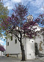 Tavira, Algarve, Portugal - click to enlarge