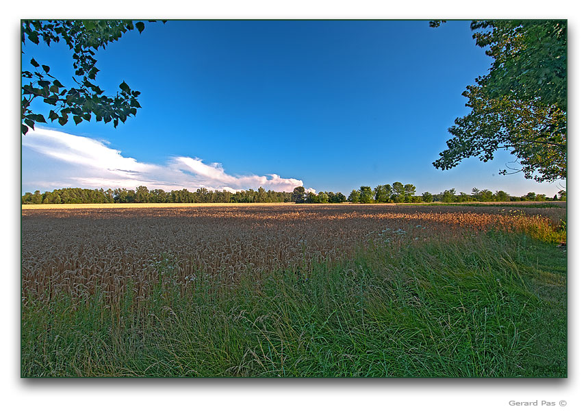 HDR photo from Gary Spearins studio - click to enlarge image