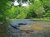 Medway Valley Heritage Forest - click to enlarge