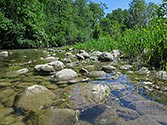 Medway Valley Heritage Forest - click to enlarge