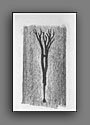Click for enlargement.
