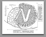 Original site landscape plans by Gerard - click for enlargement.